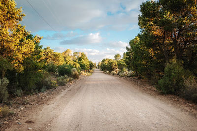 Road amidst trees against sky