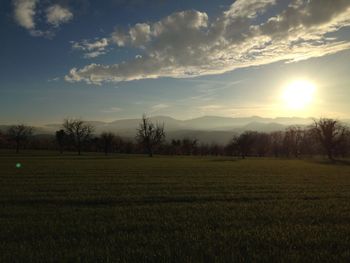 Scenic view of field against sky at sunset