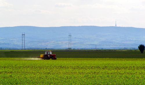 Tractor on field against sky