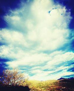 Low angle view of trees against sky