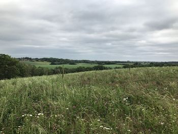 Scenic view of field against sky