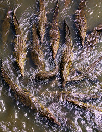 Full frame shot of water