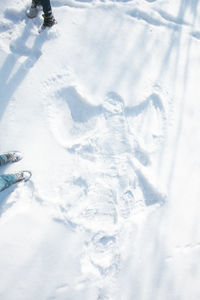 High angle view of snow covered land