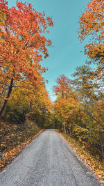 Road amidst trees against sky during autumn