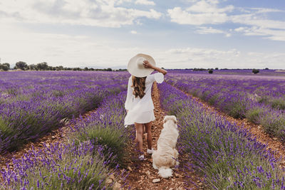 Rear view of woman with dog by purple flowering plants on land