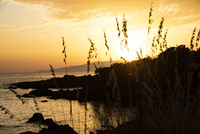 Scenic view of sea against sky during sunset