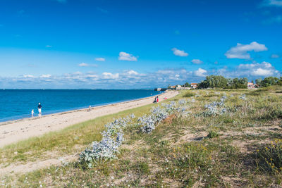 Scenic view of beach against sky