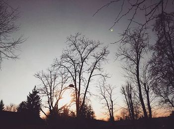 Silhouette of bare trees against sky at sunset