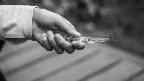 Cropped person hand holding ice