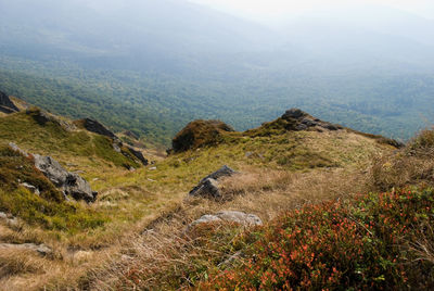 Scenic view of landscape against sky