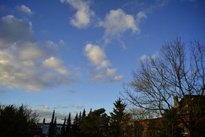 Low angle view of trees against sky