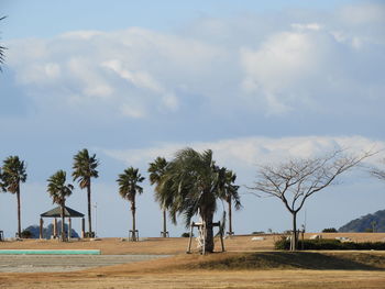 Trees on landscape against sky