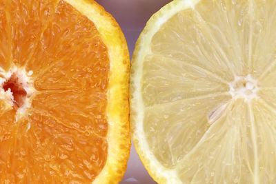 Close-up of lemon and orange slices