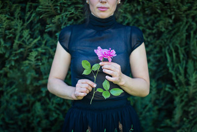 Close up of female hands holding a rose flower