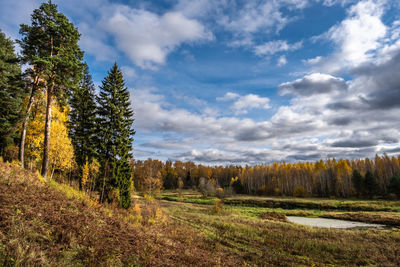 Trees on field against sky