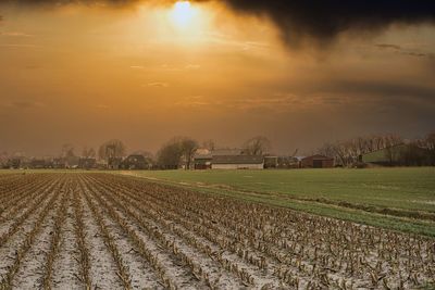 Scenic view of agricultural field against sky during sunset