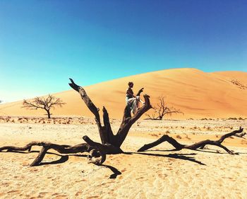 Woman sitting on branch of bare tree in desert