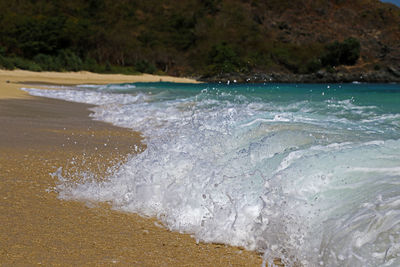 Scenic view of beach