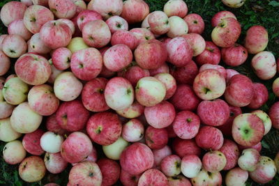 Full frame shot of apples