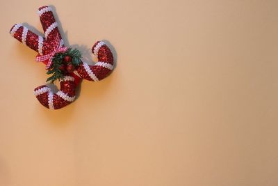 Close-up of fruits against white wall