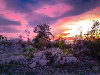 Scenic view of landscape against cloudy sky