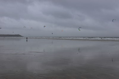 Birds flying over beach