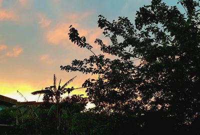 Low angle view of silhouette trees against sky during sunset