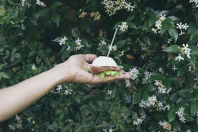 Midsection of person holding flowering plant