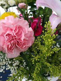 Close-up of pink flowers blooming outdoors