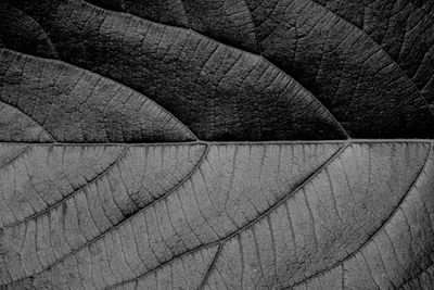 Full frame shot of abstract pattern