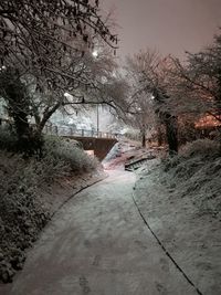 Footpath amidst bare trees against sky during winter