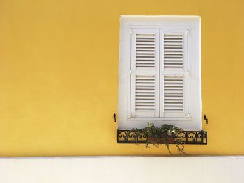 Closed white window on yellow wall