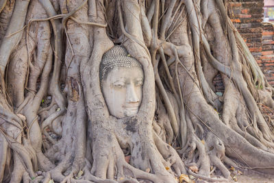 Close-up of buddha statue