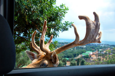 Statue against trees