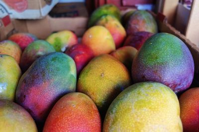 Close-up of food for sale