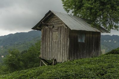 Abandoned wooden house in the tea garden. 