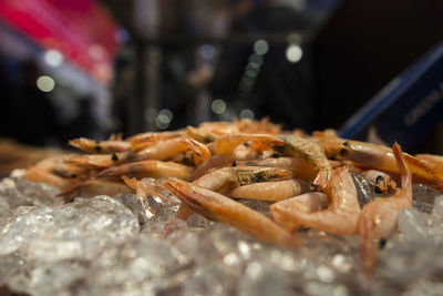 Close-up of fish for sale in market