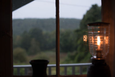 Close-up of plant against blurred background