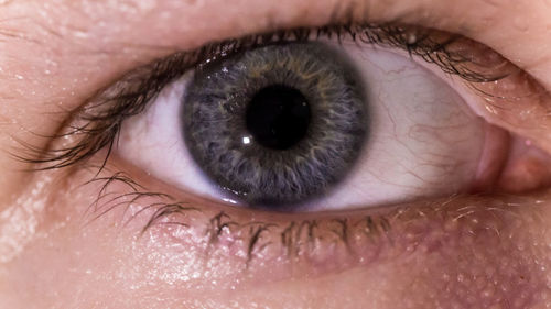 Close-up portrait of woman eye