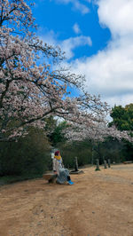 Man sitting on street amidst trees against sky