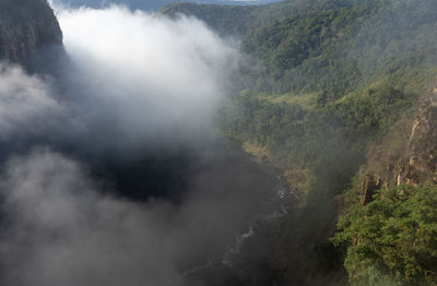 High angle view of trees on mountain