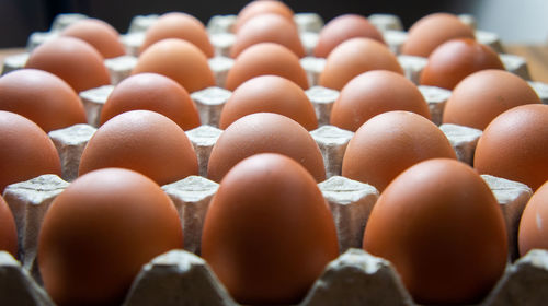 Close-up of eggs in row