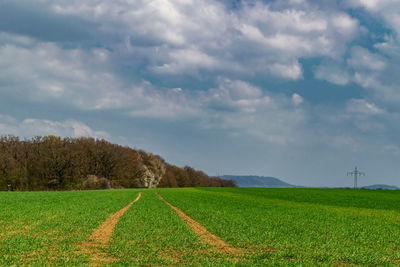 Scenic view of agricultural field against sky