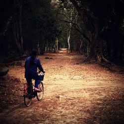 Person riding bicycle on road