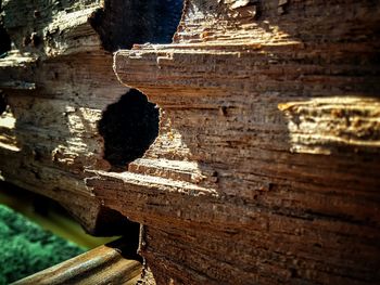 Close-up of wood