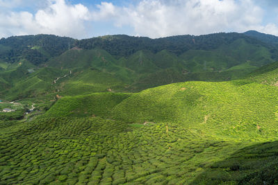 Scenic view of farm against sky