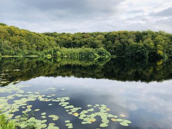 Scenic view of lake against sky