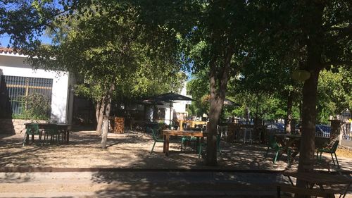 Chairs and table by trees in park