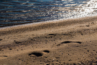 High angle view of footprints on shore at beach