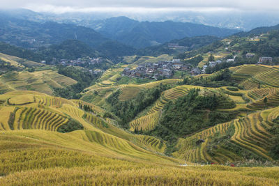 Panoramic view of rice fields in longji, china